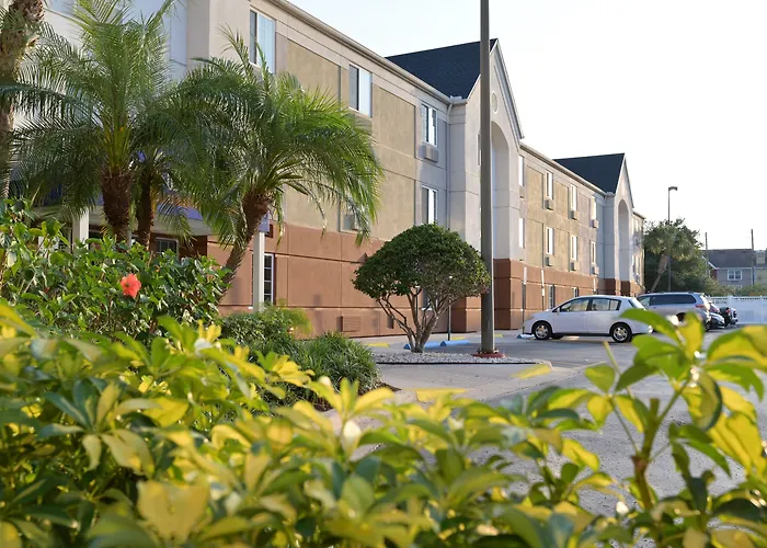 Pet Friendly hotel: Sonesta Simply Suites Clearwater