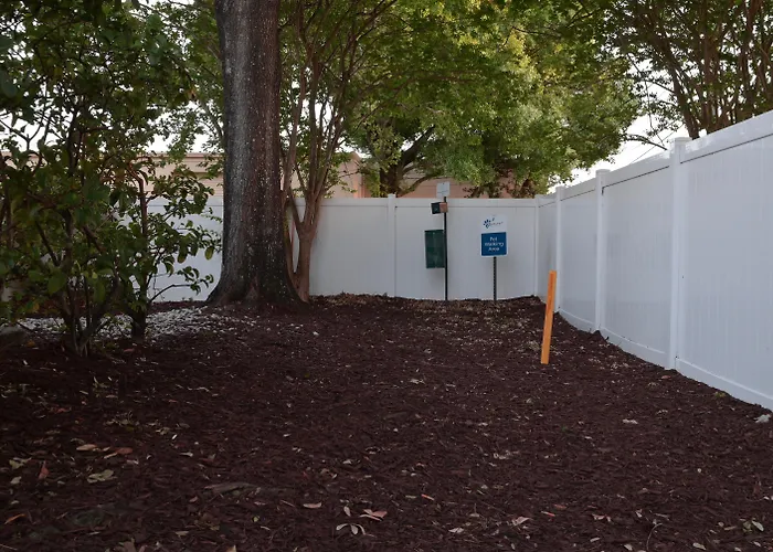 Pet Friendly hotel: Sonesta Simply Suites Clearwater